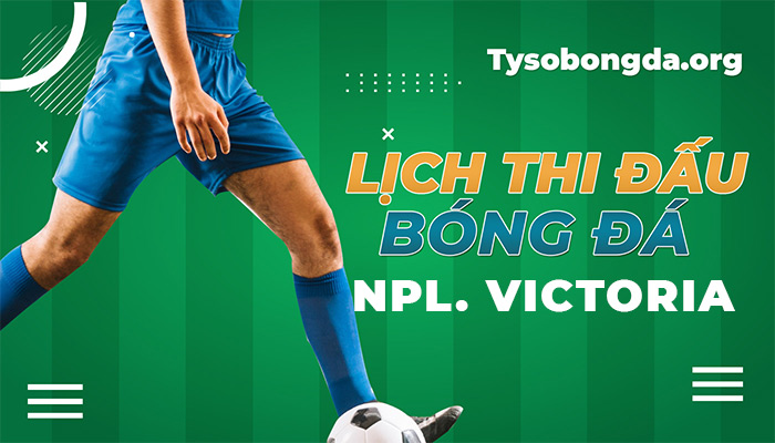 Lịch thi đấu NPL Victoria hôm qua | LTĐ NPL Victoria update hàng tuần